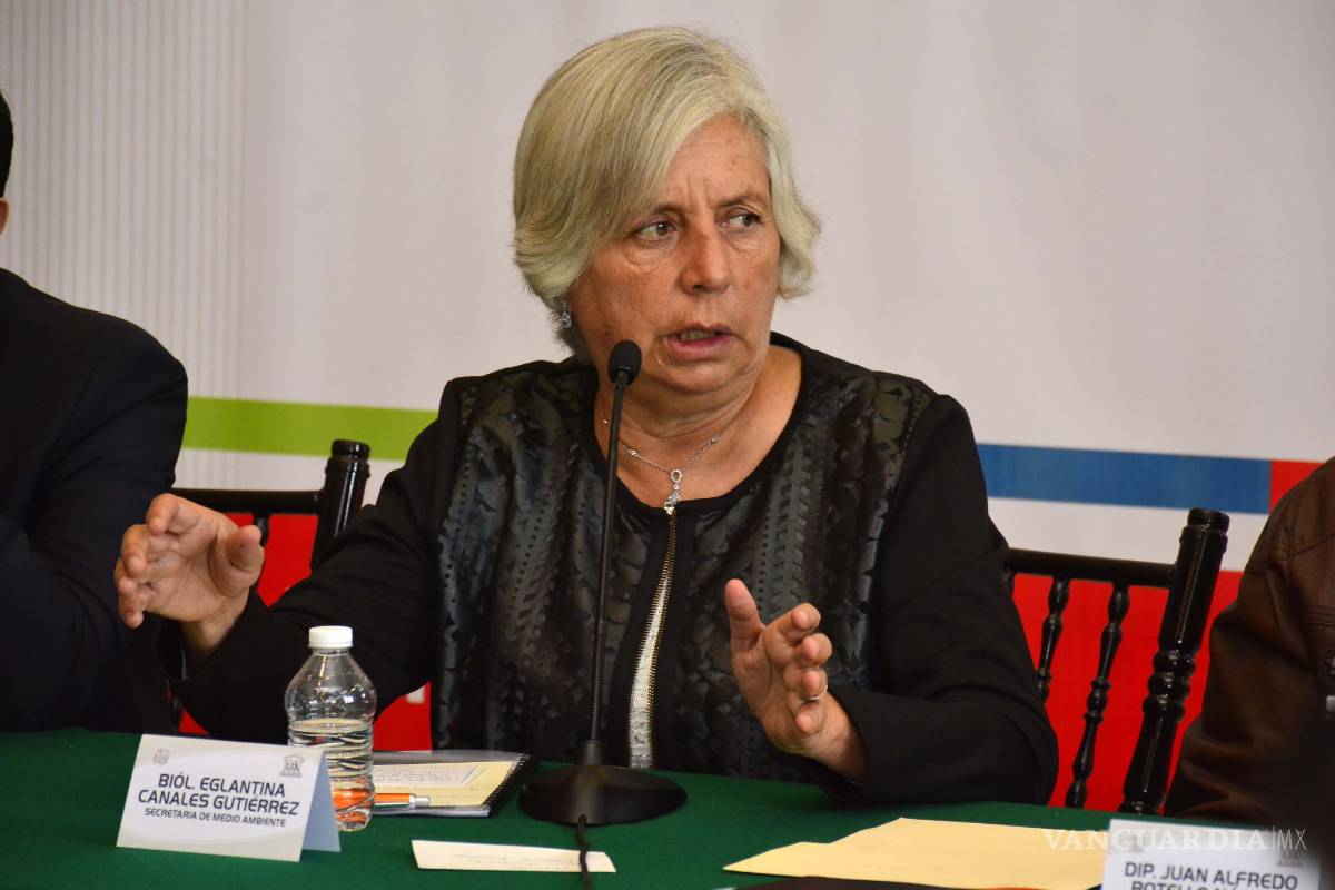 Titular del Medio Ambiente en Saltillo culpa al viento de la contaminación