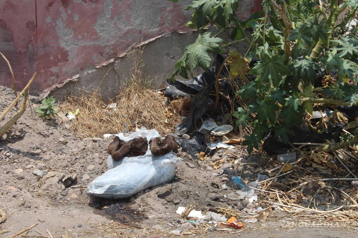 $!Convierten en basurero el lecho seco del Nazas