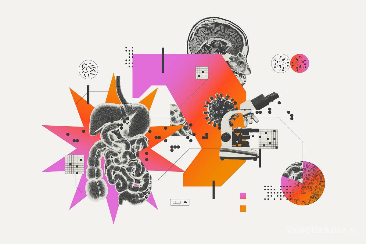 Cómo la covid puede cambiar tu intestino