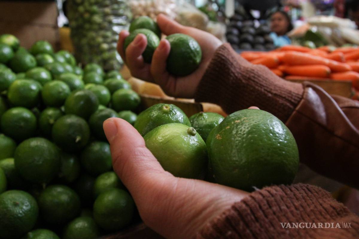 Profeco emite 90 requerimientos por aumentos del aguacate y limón