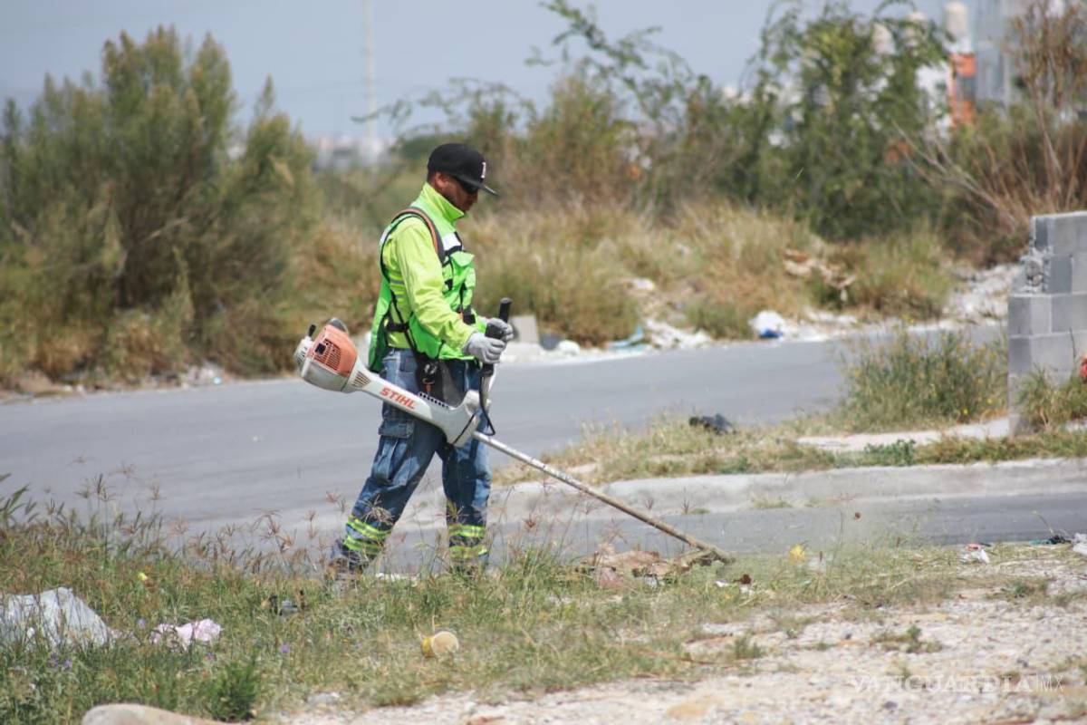 $!Brigadas municipales realizaron labores de limpieza y deshierbe en el bulevar José María Rodríguez.