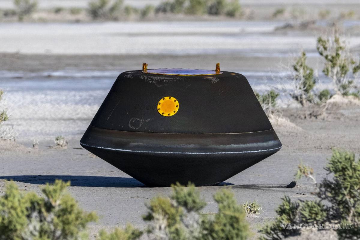 ¿Es posible que seamos extraterrestres? Muestras de un asteroide contienen los elementos básicos de la vida