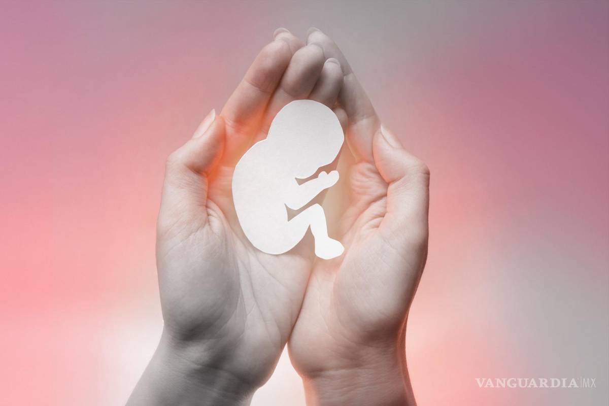 Liberaliza la SCJN práctica del aborto: iglesia católica