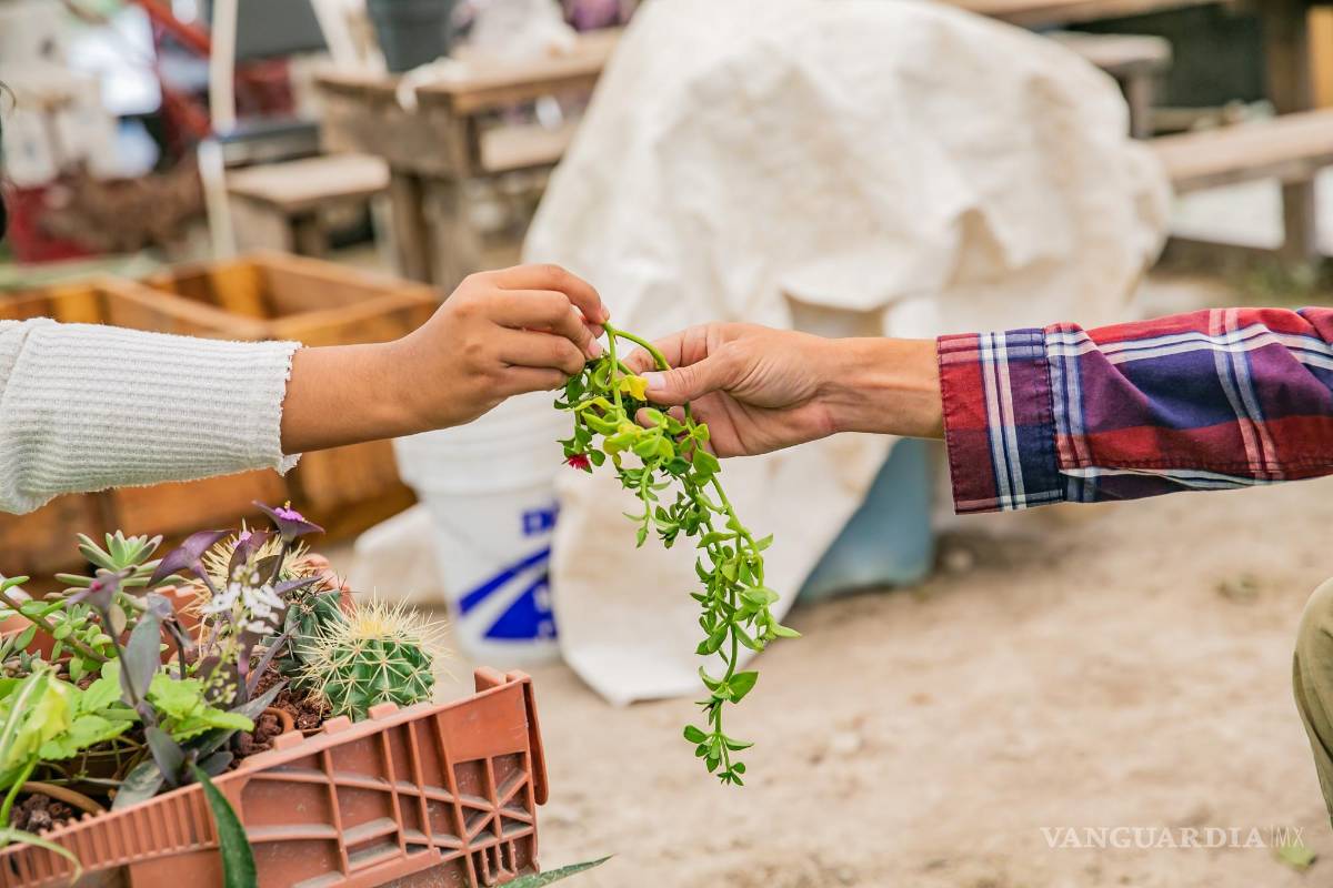 Javier Alanís y Sharon Castillo: Saltillo florece en Santa Anita