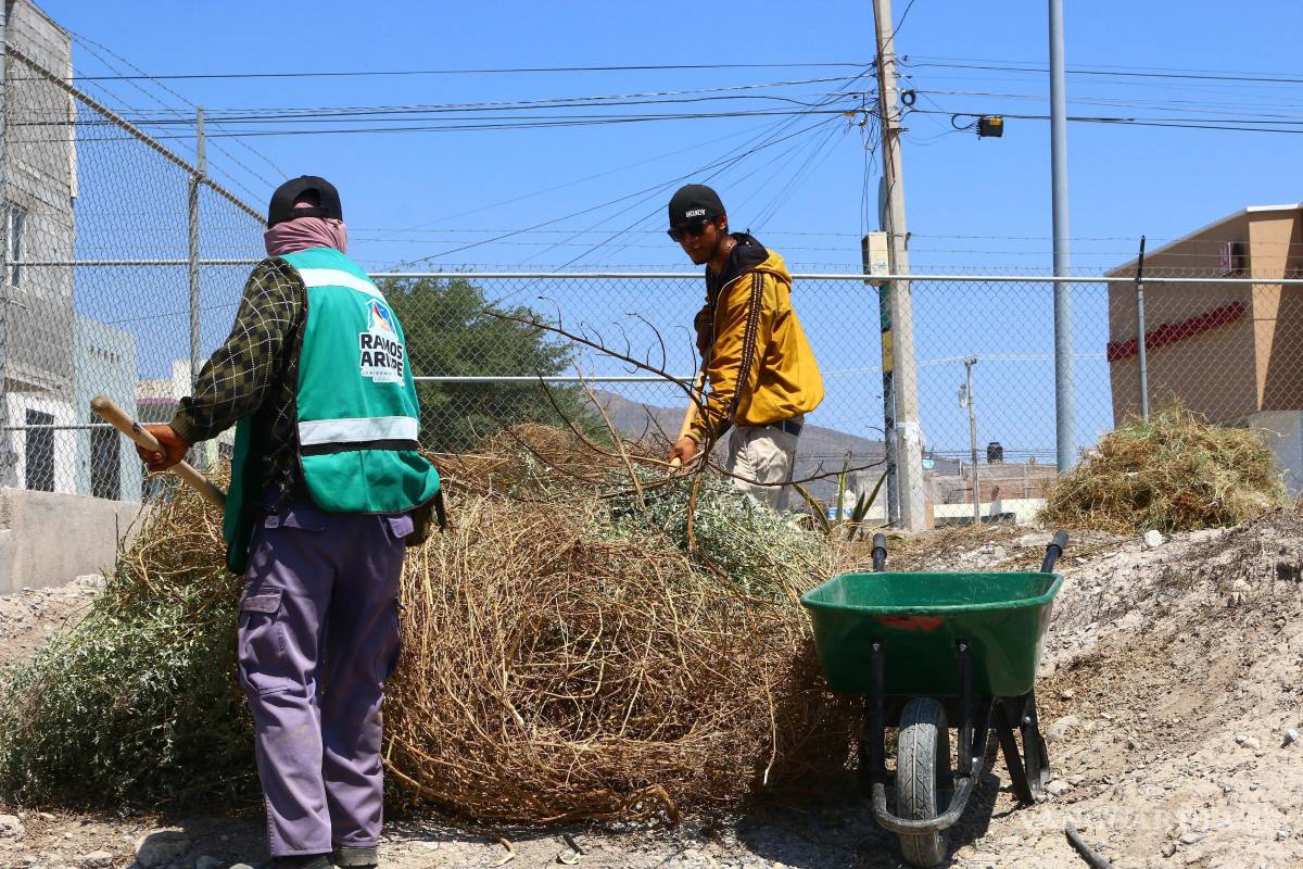$!Personal de Servicios Primarios realiza labores de poda y limpieza como parte de la jornada del programa “Enchúlame la escuela”.