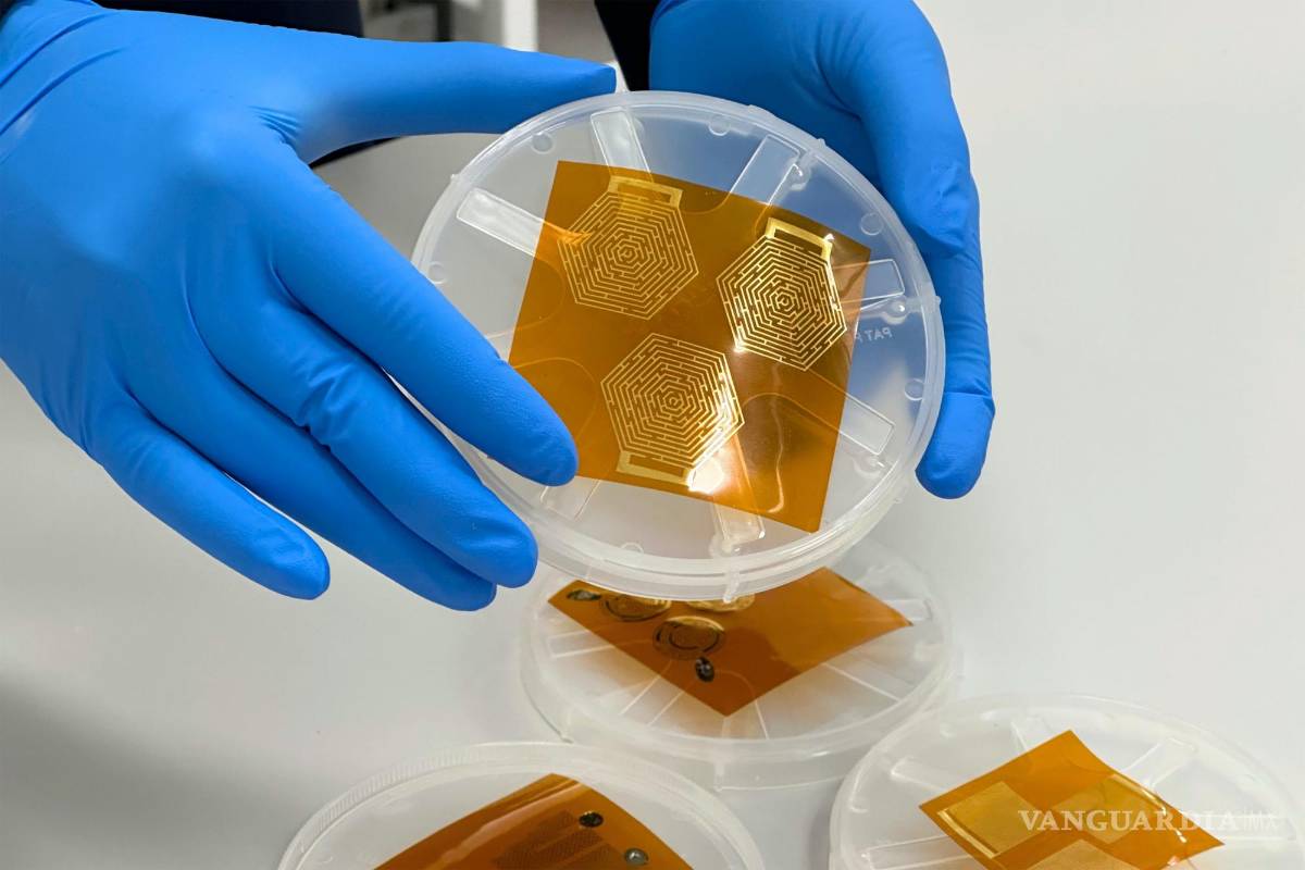 Desarrollan un nuevo monitor cardíaco que se adhiere a la piel de la persona