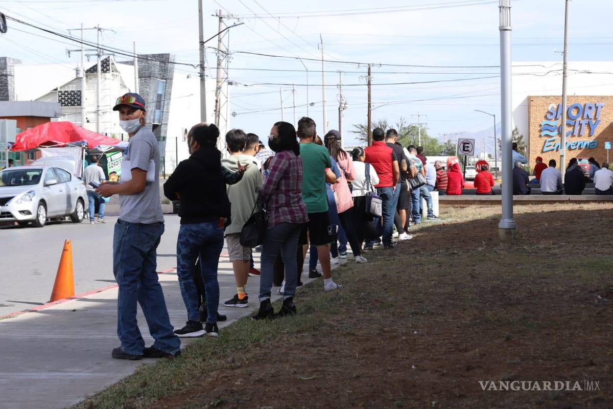 Se ‘cae’ plataforma Paga Fácil para pago de placas; usuarios saturan sistema