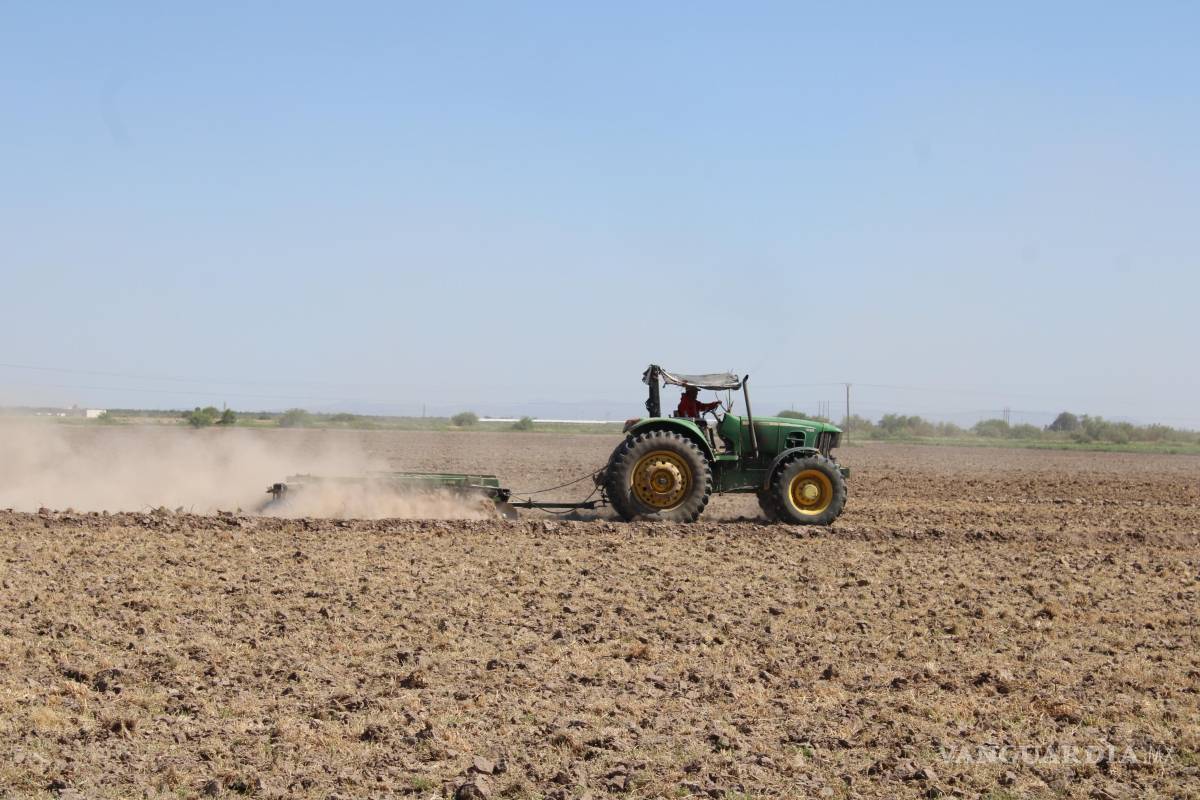 $!La sequía en el campo generará la venta de tierras y derechos de agua.