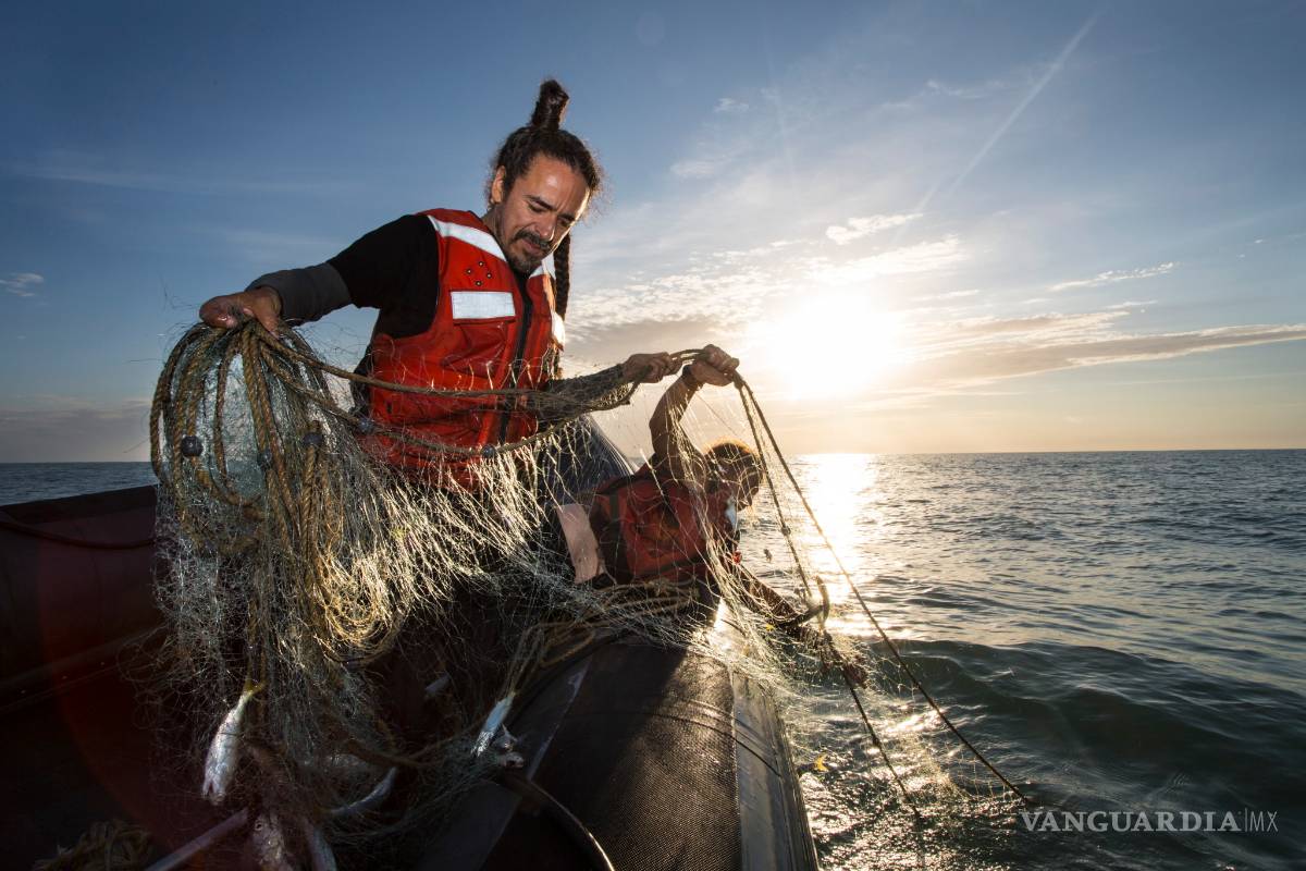 Recibe México premio internacional por acciones a favor de la vaquita marina