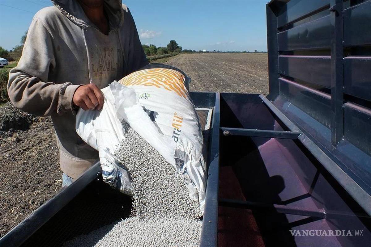 Fertilizantes aumentan 300% su precio por guerra entre Rusia y Ucrania, afectará a México