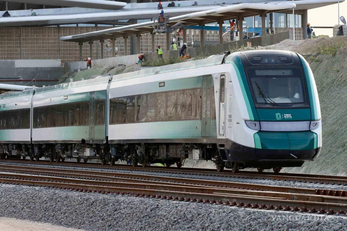Gobierno de AMLO destina recursos contra el cambio climático para el Tren Maya