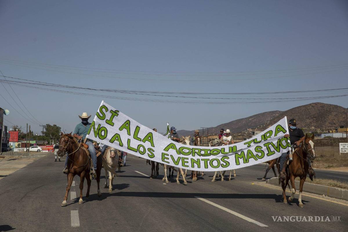 $!La comunidad del Valle de Guadalupe y la organización “Por un valle de verdad” se manifestaron esta tarde para expresar su indignación porque las autoridades no cumplen el reglamento de uso de suelo en el Valle de Guadalupe y la realización de conciertos masivos en la zona.