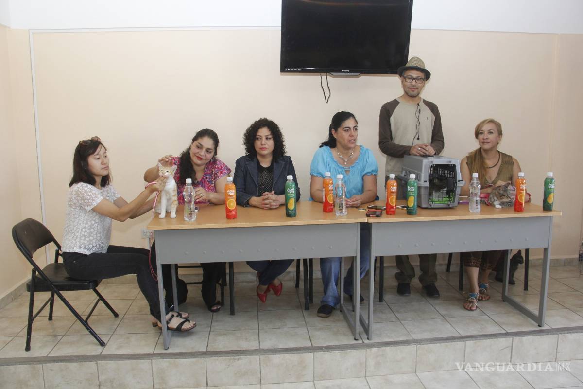 $!Por primera vez llega el Cat Fest 2016 a Saltillo