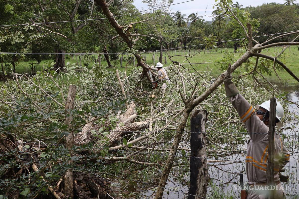 Huracán ‘Erick’ dejó en Oaxaca a 123,757 usuarios sin electricidad; CFE ya restableció al 26%