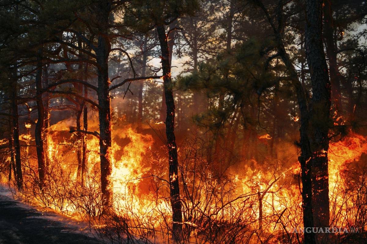 Emiten declaración de emergencia en las Carolinas tras incendios forestales