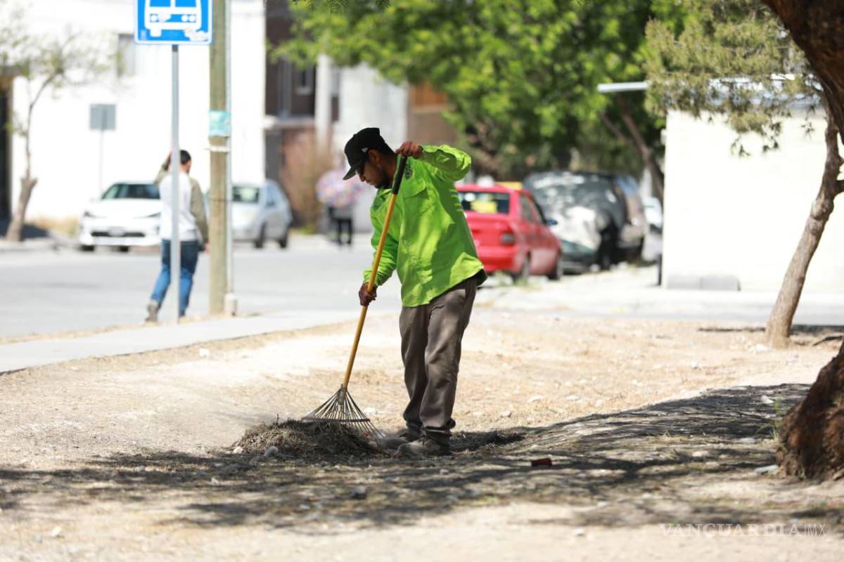 $!Los trabajos forman parte de una estrategia permanente de mantenimiento y saneamiento de espacios públicos.