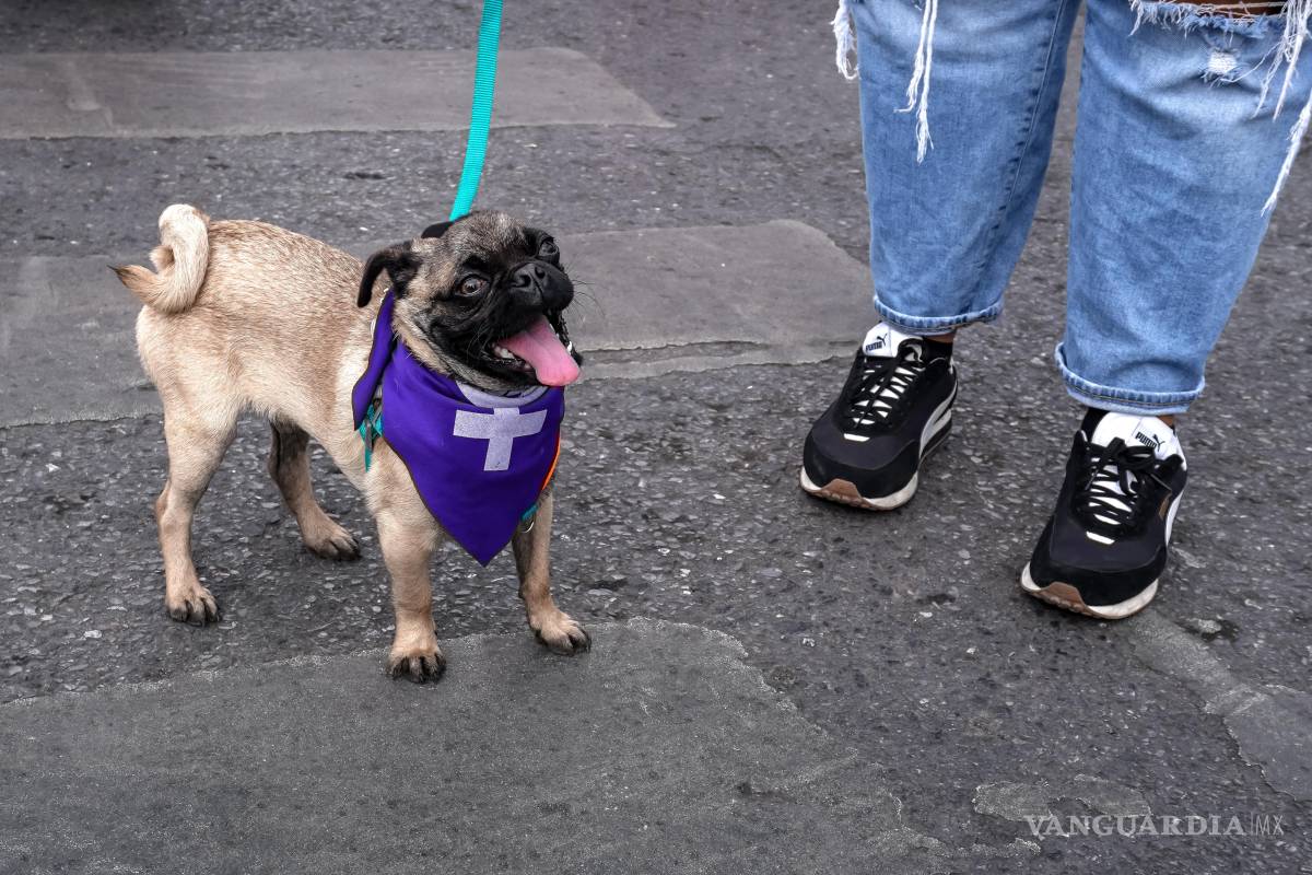 $!Muchas voces, un clamor: mujeres marchan en el 8M por una vida libre de violencia en Saltillo