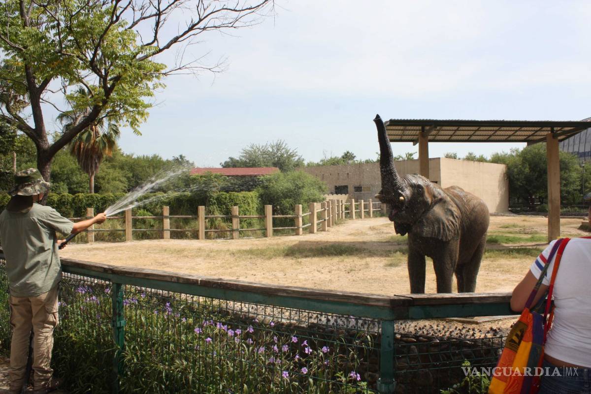 $!Cultura en Semana Santa: Para visitar estas vacaciones