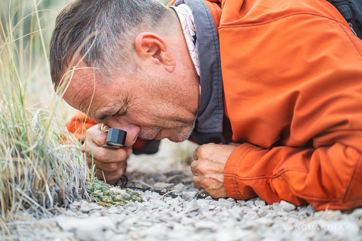 Rodrigo González: En busca del siguiente cactus