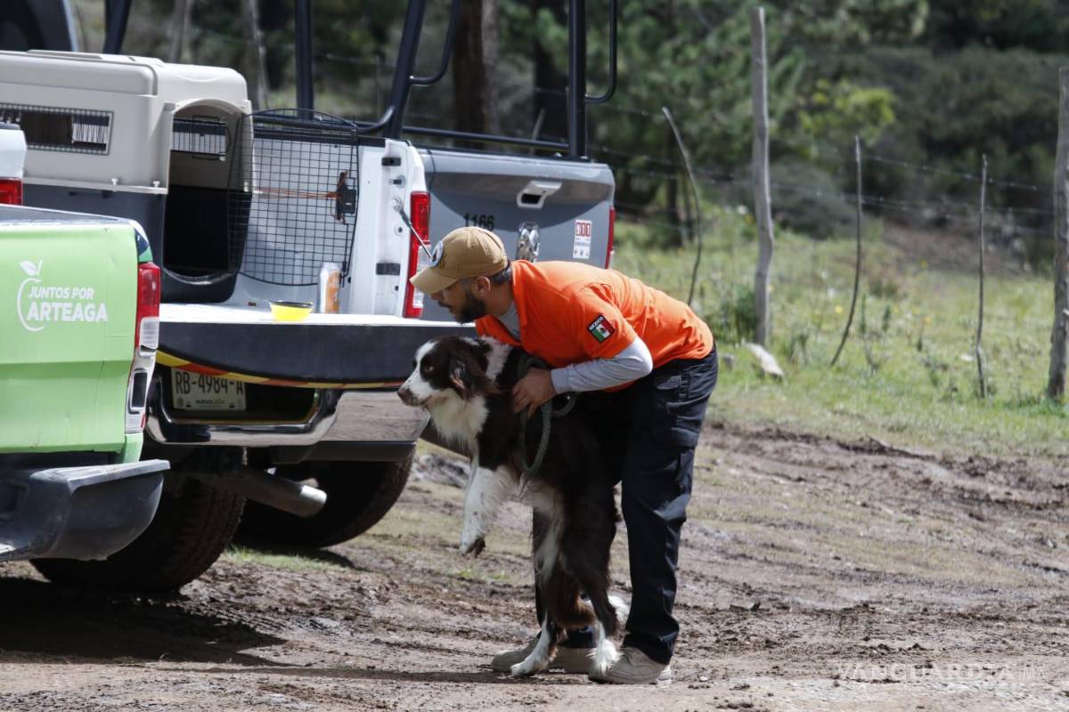 $!alrededor de 80 brigadistas, Bomberos, elementos de Protección Civil, policías municipales y estatales, propietarios de predios y perros rastreadores, participan en la búsqueda.