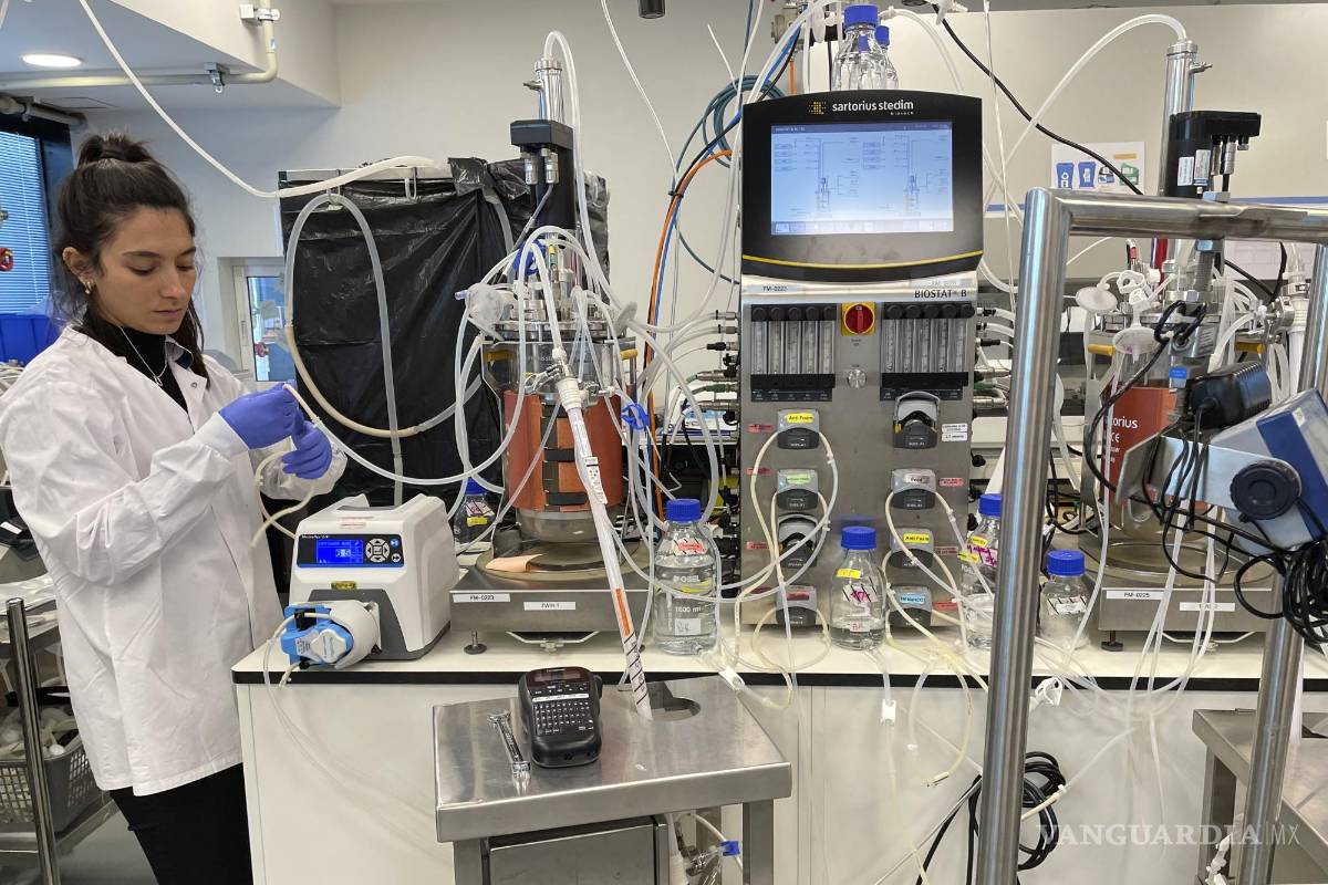 $!Los empleados de Believer Meats trabajan en laboratorios en la sede de la empresa en Rehovot, Israel.