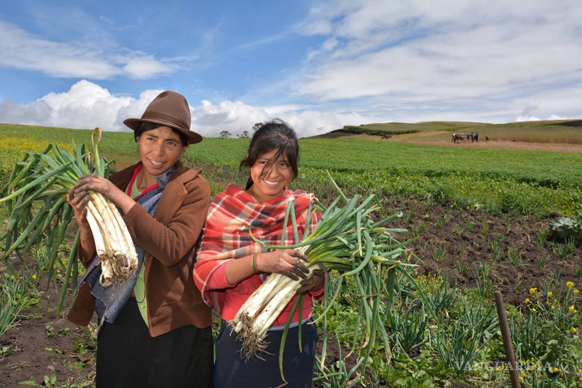 Margina la Federación a la mujer campesina