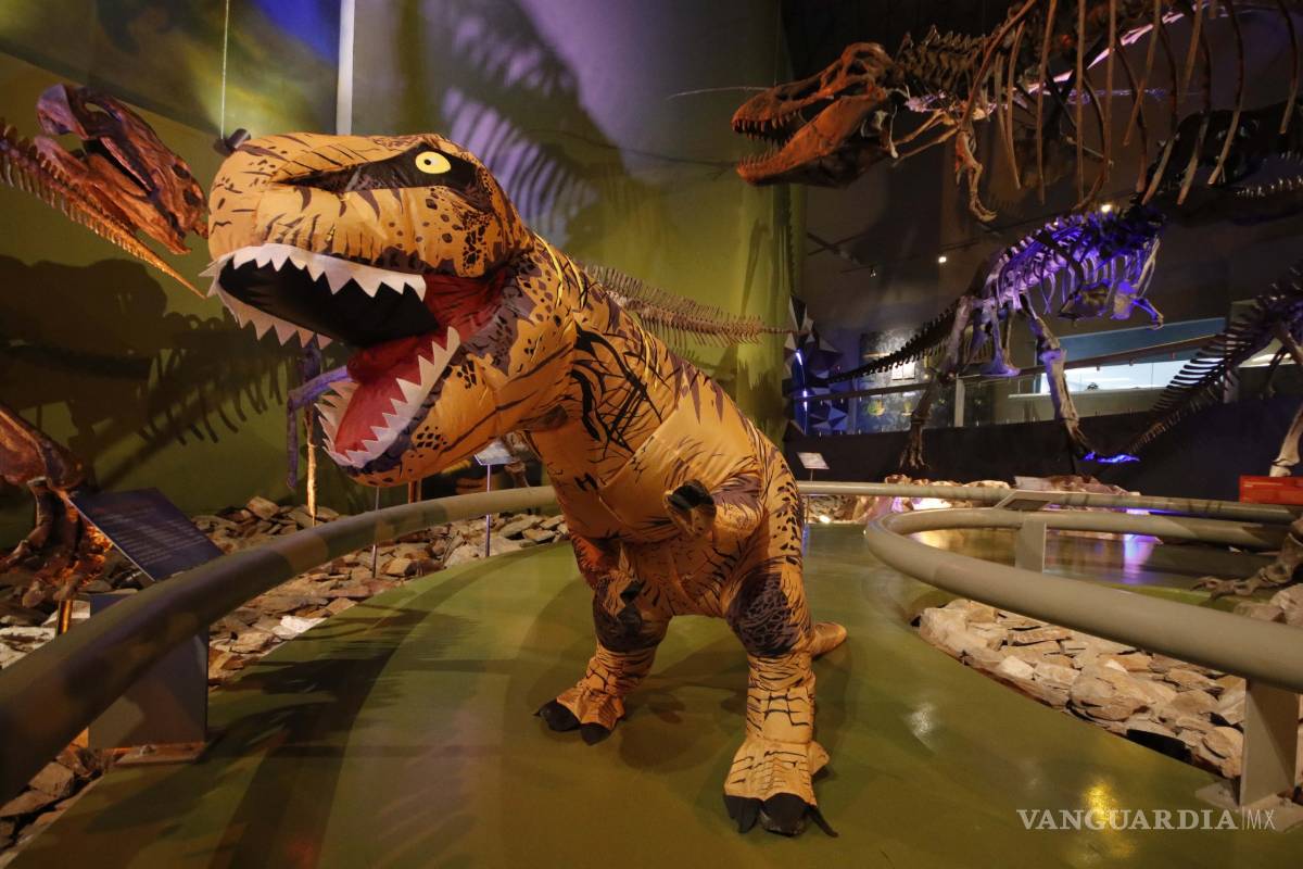 Conoce a Braulio, el dinosaurio más popular del Museo del Desierto