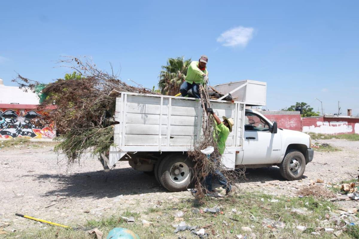 $!Brigadas municipales llevaron a cabo acciones de deshierbe y mantenimiento en áreas verdes para fortalecer la imagen urbana y la seguridad de los espacios públicos.