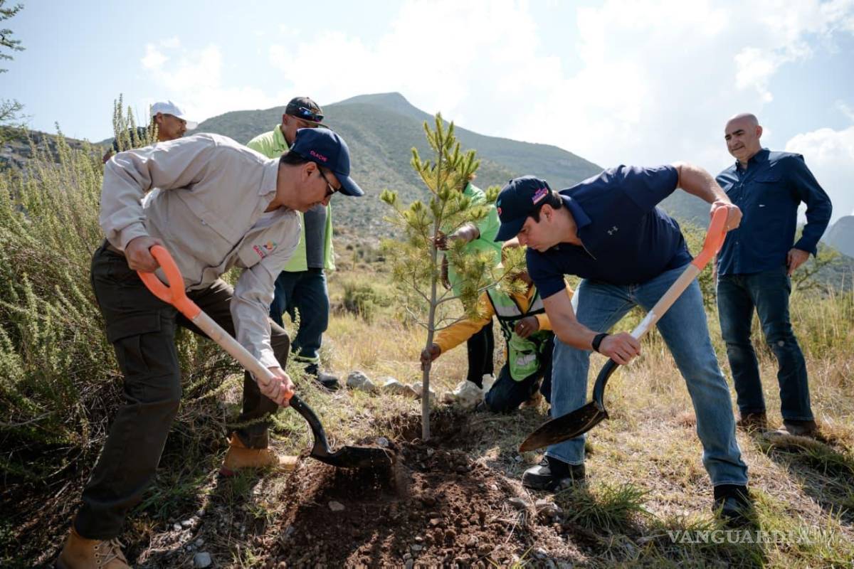 $!RIC ENERGY aportó 3 mil 125 árboles para el proyecto ambiental, mientras que el Municipio de Saltillo sumó otros mil 875 ejemplares.