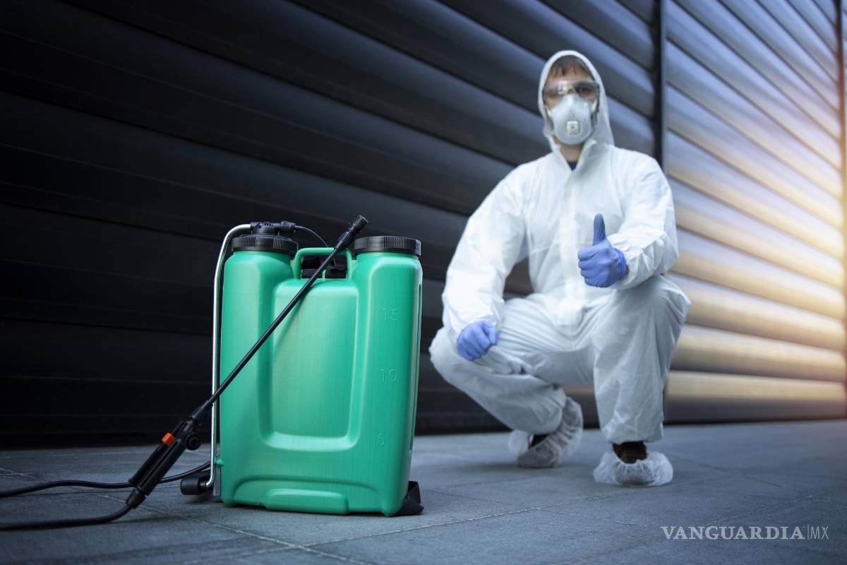 $!Los expertos descartan que todos los productos comerciales funcionen para eliminar esta plaga.
