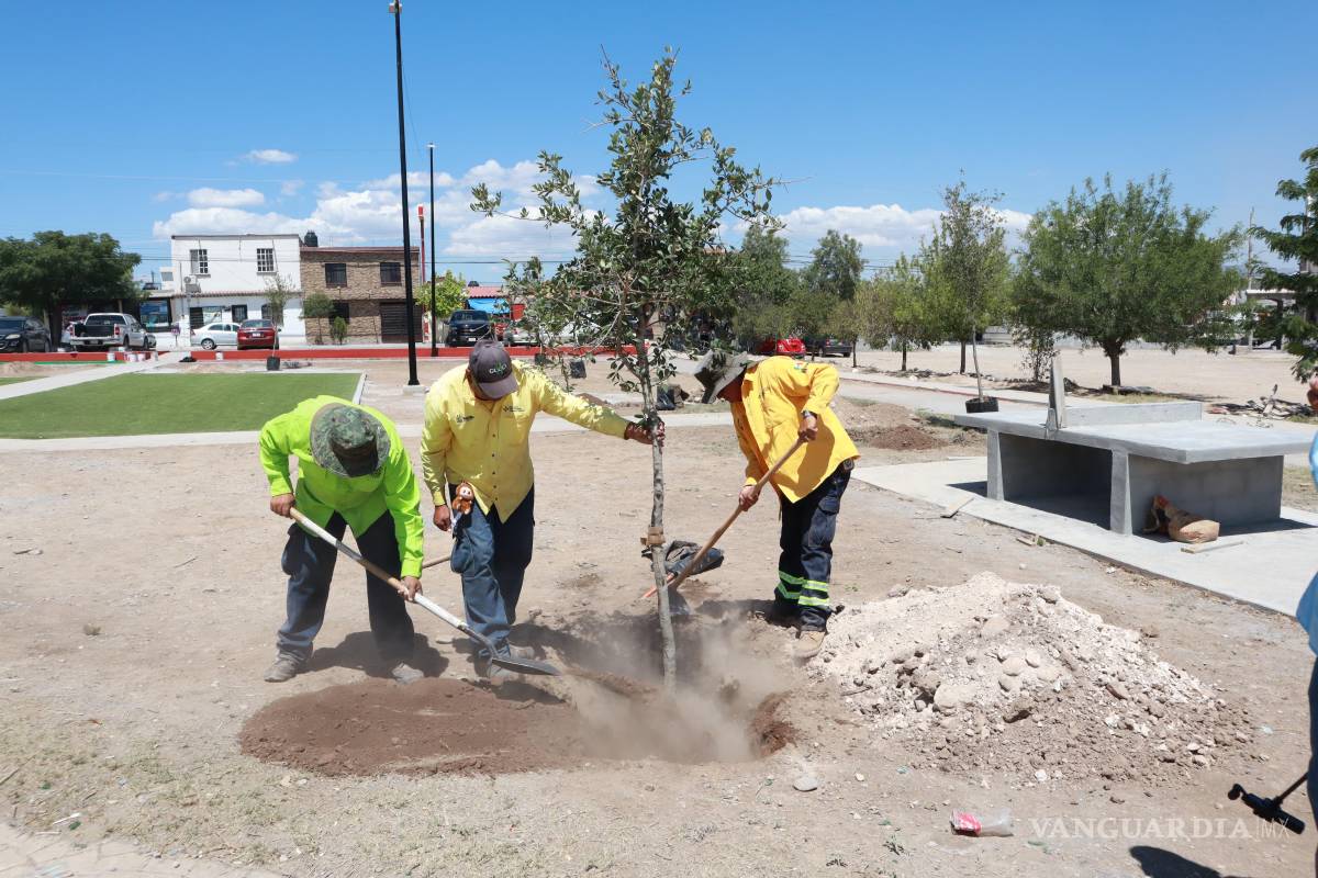 Gobierno de Saltillo transforma Plaza de Mirasierra con acciones de ‘Aquí Andamos’