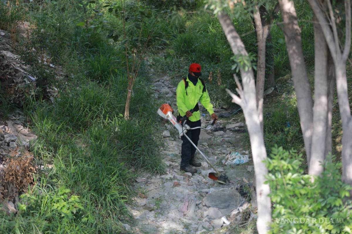 $!Las labores buscan mantener en condiciones adecuadas los espacios públicos de la ciudad.