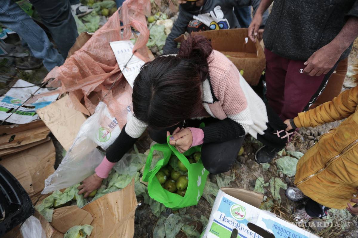 Vuelca tráiler de peras en Ramos Arizpe y vecinos aprovechan para cometer rapiña