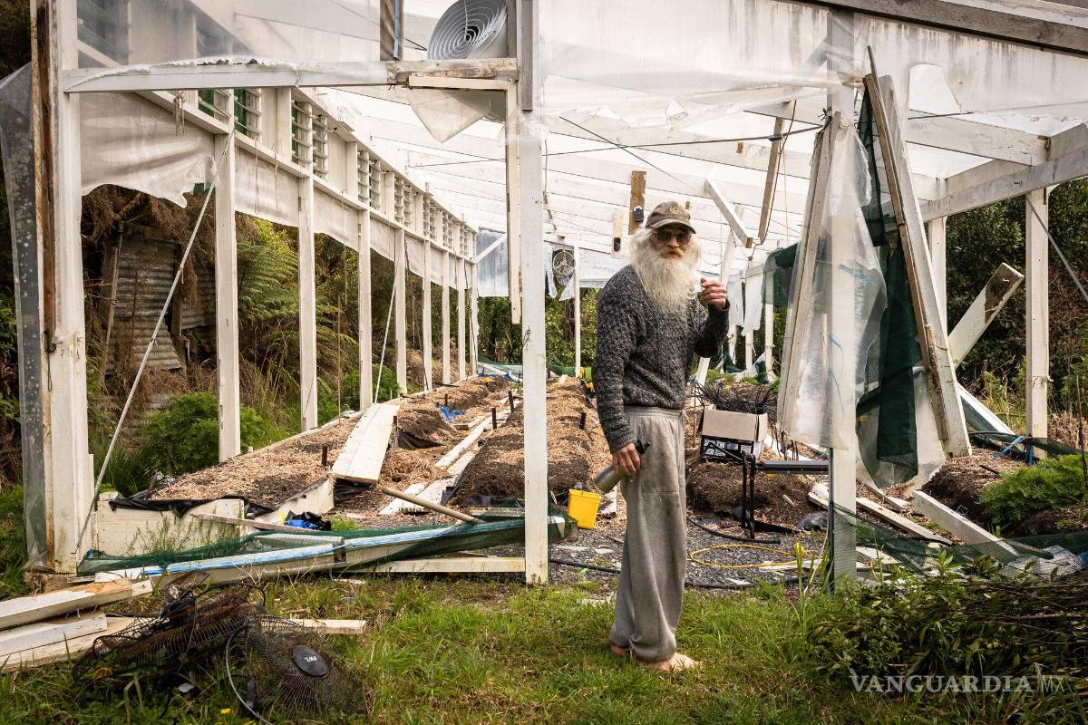 ‘Gandalf’, el agricultor de marihuana medicinal: ¿héroe o criminal?
