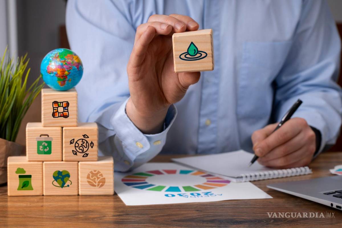 Desarrollo sustentable, ¿retórica o acción?