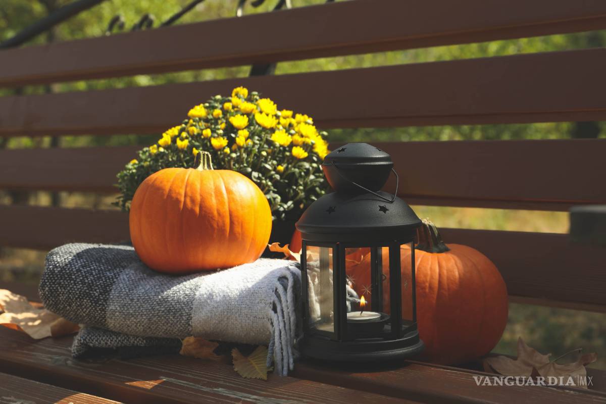 Calabaza, la hortaliza favorita de Otoño