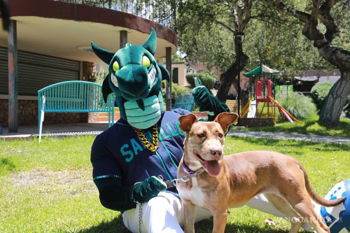 $!El CEBISS invita a los saltillenses a sumarse como voluntarios para apoyar en el cuidado de los perros.