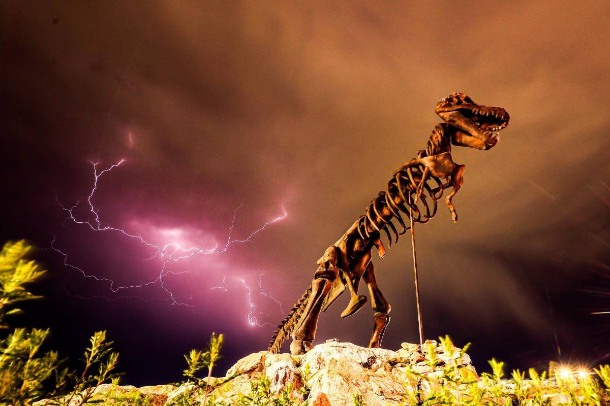 ¿Sin planes y poco presupuesto? Ideas para disfrutar de las vacaciones de invierno en Saltillo