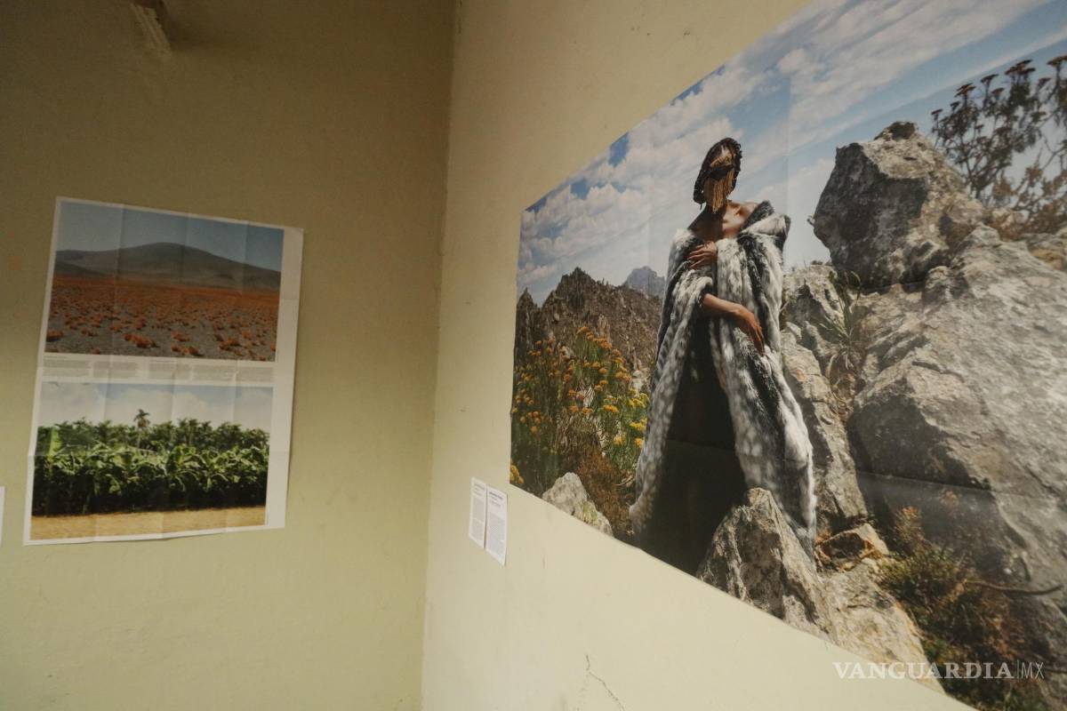 $!Con Photoworks la fotografía contemporánea se comparte en una cajita