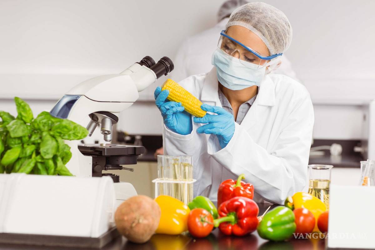 Tecnología en alimentos para innovar
