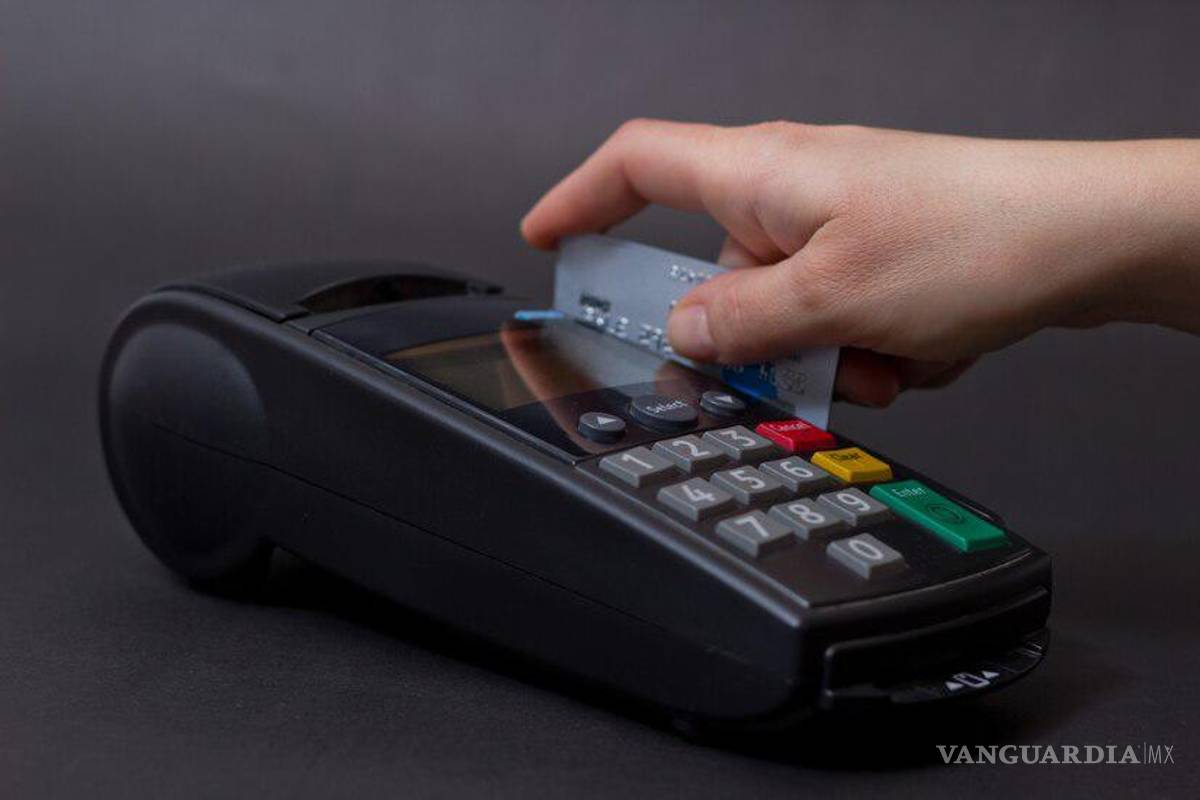 La verdadera economía. ¿Qué elige, libertad o comodidad?