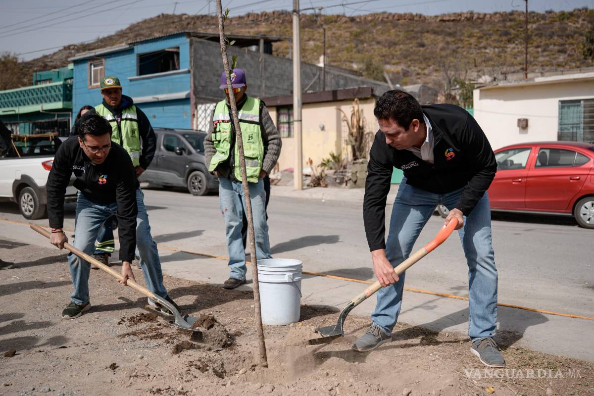 $!Acciones de reforestación se llevaron a cabo en la plaza pública de la colonia Valle Escondido.