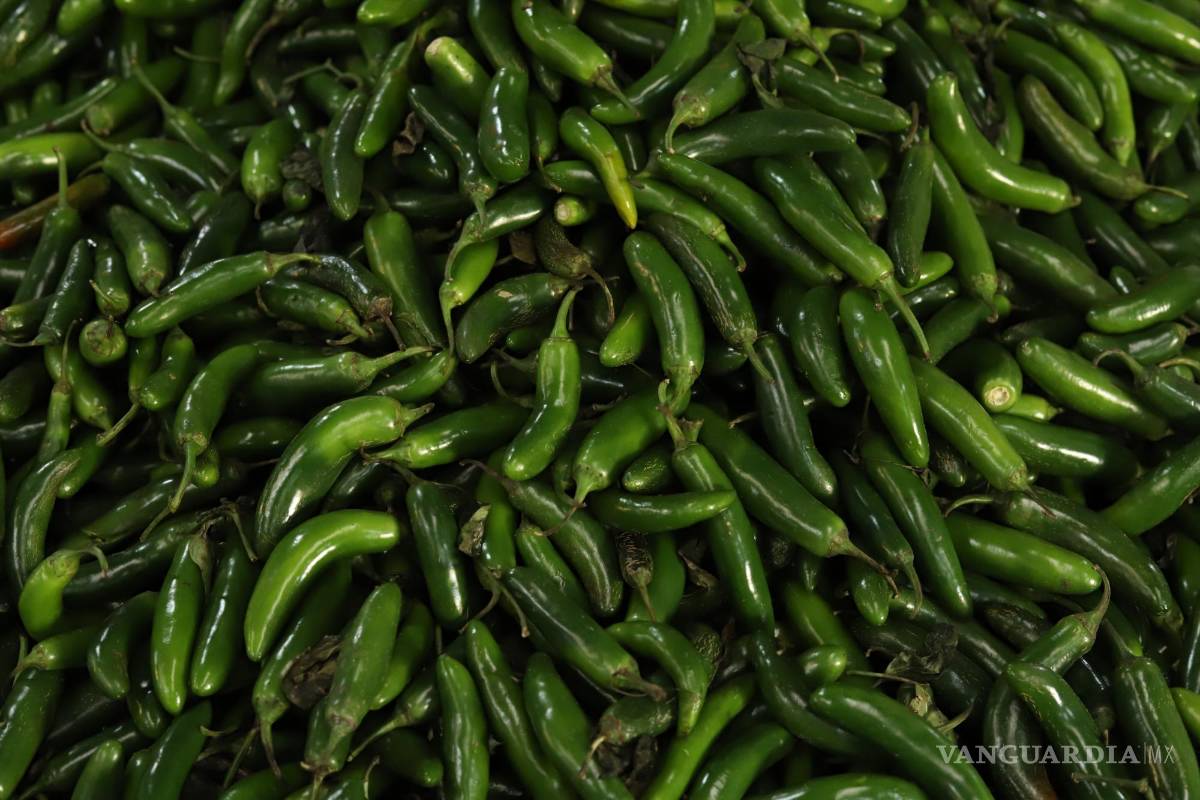 Se encarecen los tacos... ¡Y hasta la salsa! Precio de chile serrano por las nubes en Saltillo