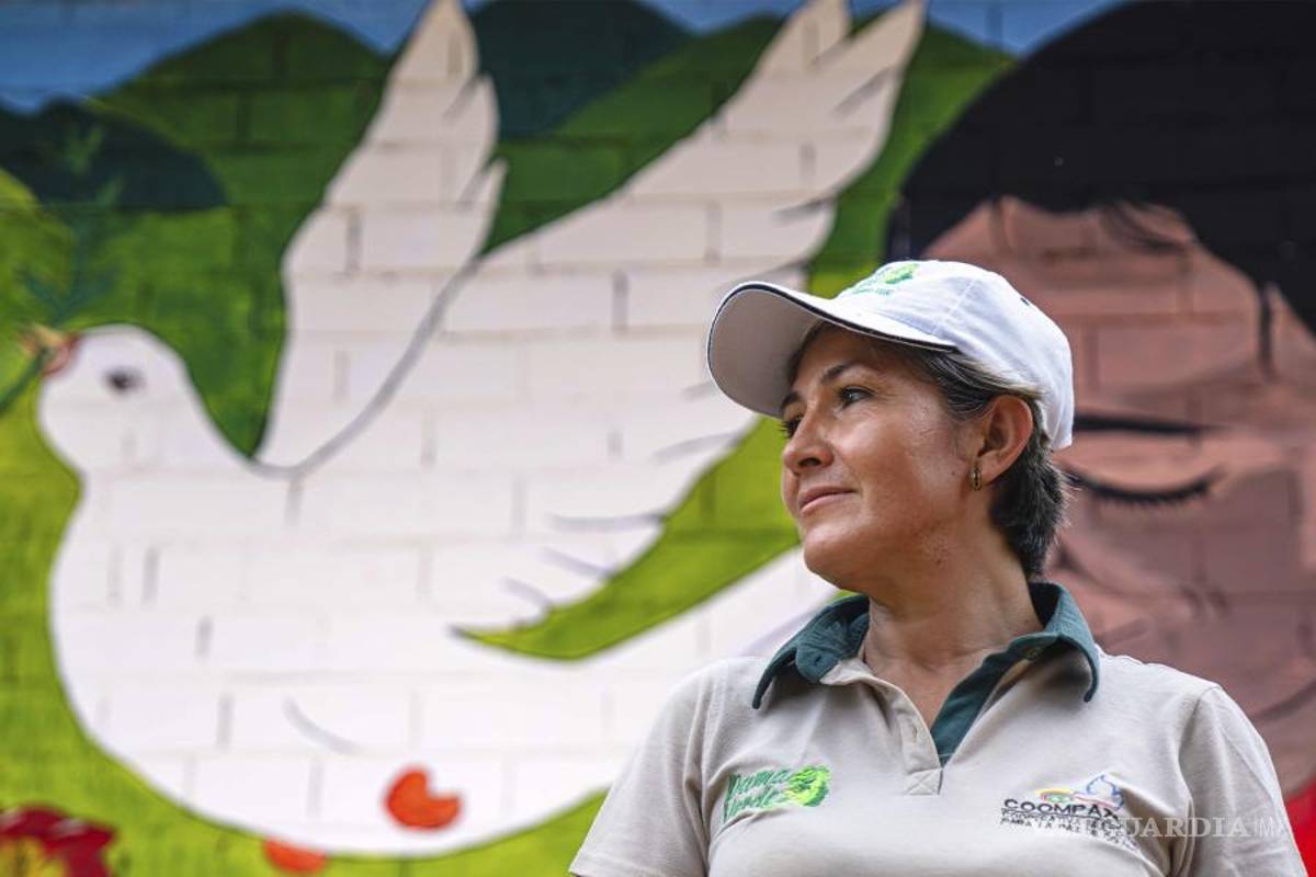 Bogota: anima ONU búsqueda de paz