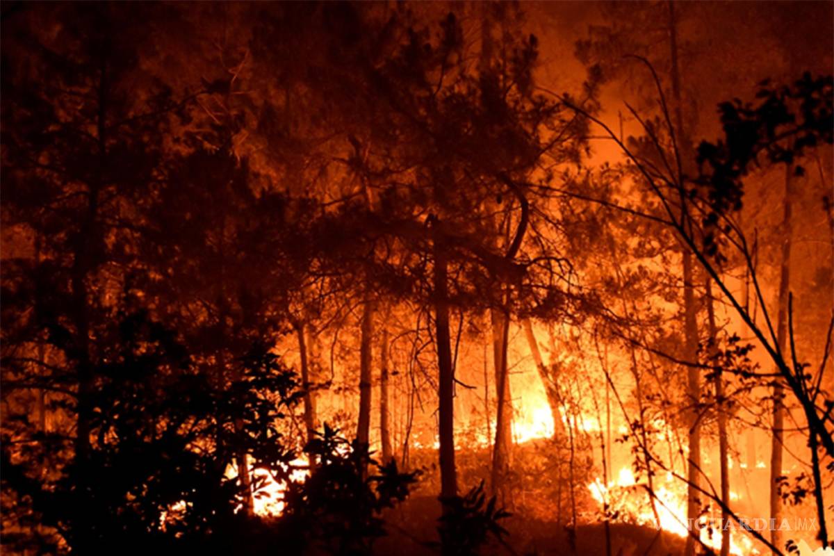 Mira cómo los incendios forestales en Europa arrasan con todo (fotos)