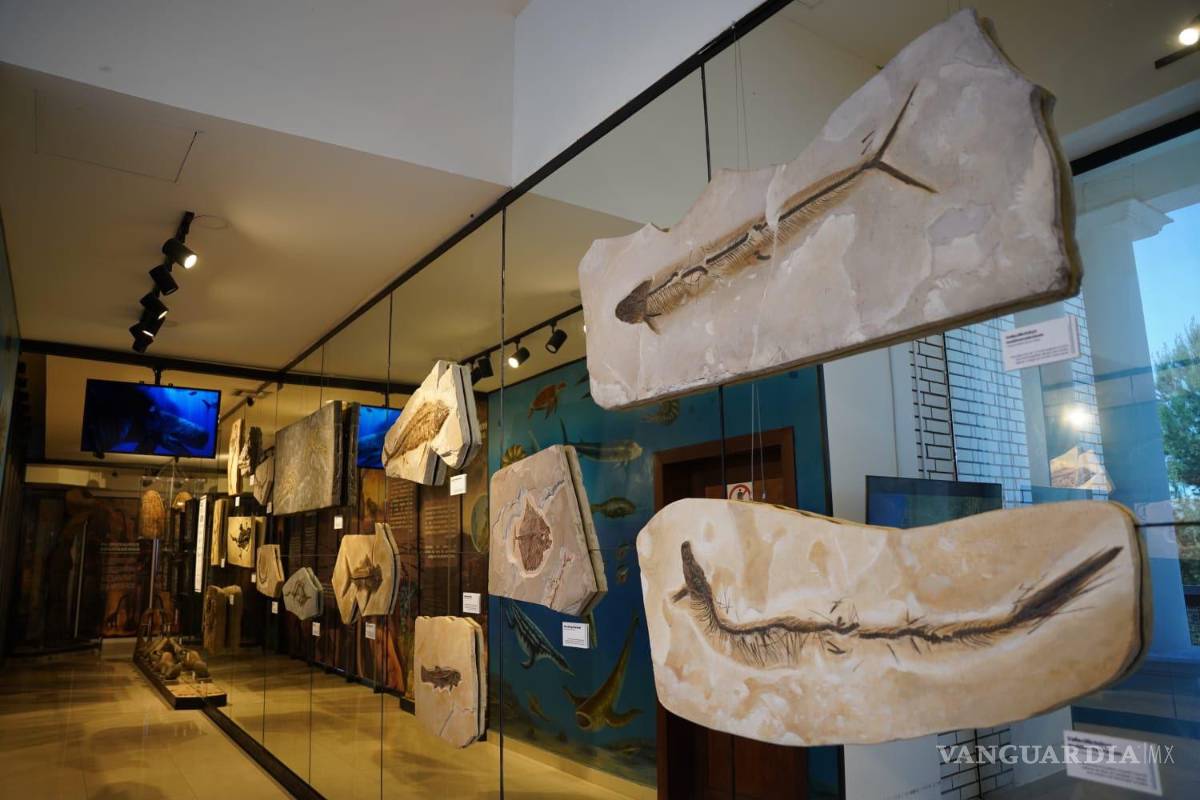 $!El Museo de Historia de Ramos Arizpe ofrece un recorrido por el desarrollo histórico, cultural e industrial del municipio.