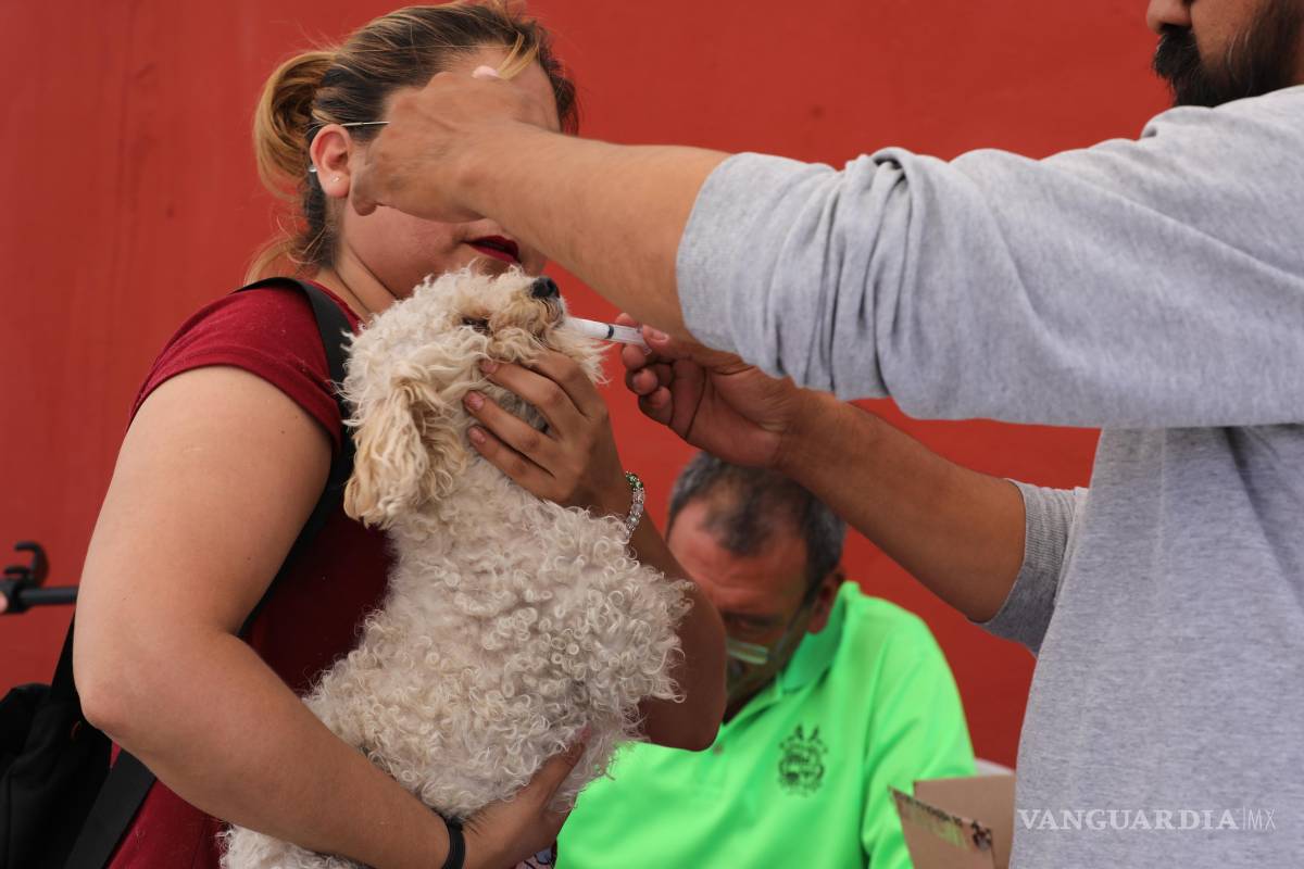 $!El módulo móvil de Control Canino brindó servicios gratuitos de atención para mascotas, incluyendo vacunación, desparasitación y baño anti garrapata, en beneficio de las familias del sector.