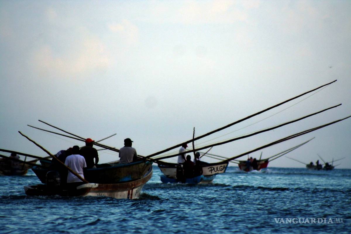 Reforma a la ley de navegación suprimirá miles de empleos: marinos