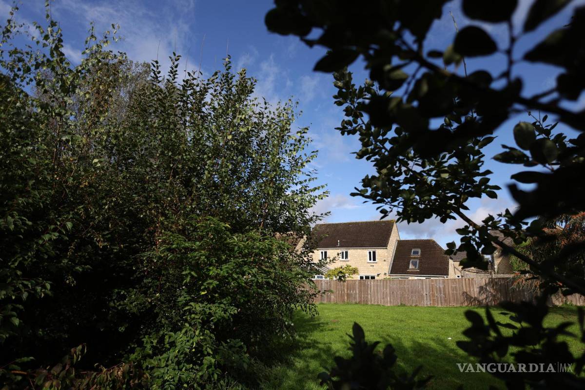 ‘Tiny Forests’, bosques urbanos que buscan ser una solución verde para oxigenar las grandes ciudades
