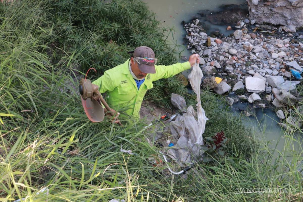 $!Estas acciones buscan prevenir taponamientos y la proliferación de fauna nociva para la salud.